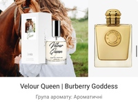 Парфумована вода для жінок Velour Queen 2