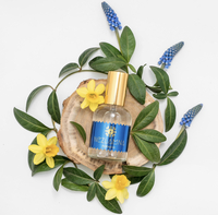 Парфумована вода NEZLAMNA НЕЗЛАМНА + подарунок 6