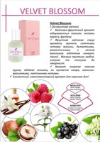 Жіноча парфумована вода Velvet Blossom + подарунок 4