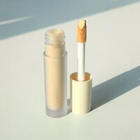 Консилер VFX Pro 0