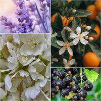 Парфумована вода Hera + подарунок! 1