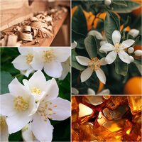 Жіноча парфумована вода Midnight Muse + подарунок 1