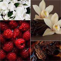 Жіноча парфумована вода Velvet Blossom + подарунок 1