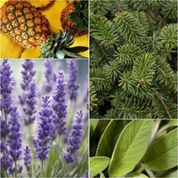 Чоловіча парфумована вода Gaucho Farmasi + подарунок 1