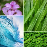 Парфумована вода Baoli для чоловіків + подарунок! 1