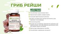Дієтична добавка Екстракт грибу Рейші Nutriplus 6