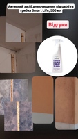 Засіб для видалення плісняви Smart life Антипліснява 2